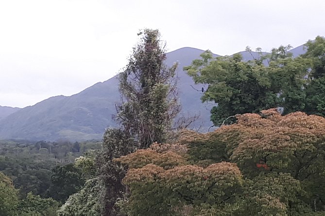 Killarney Valley & National Park - Private Tour - Stop 5: Ladies View, Queen Victoria’s 1861 name, and classic Killarney views