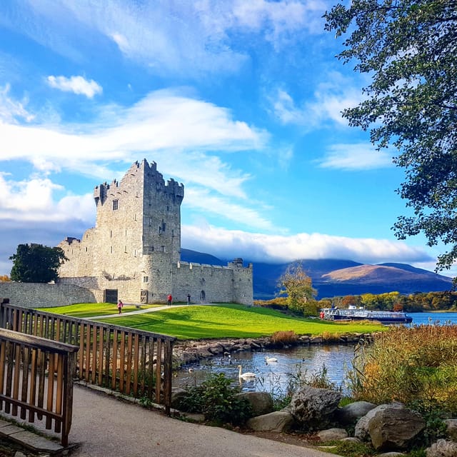 Lakes of Killarney: Boat Cruise - Ancient forests, oak and yew, and the ecosystem story