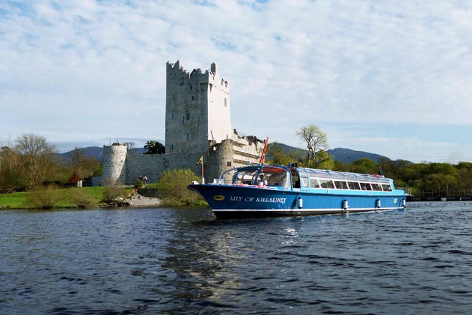 Lakes of Killarney Cruise - Wildlife Chances: Red Deer and White-Tailed Eagles