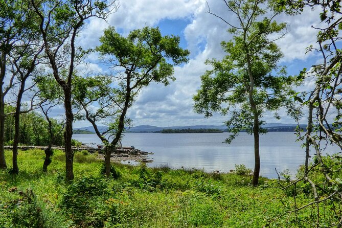 Lough Corrib History and Scenic Lake Cruise from Lisloughrey Pier Tour - Key Points You’ll Actually Care About