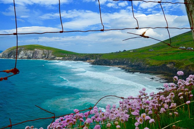 Luxury Photography Day Tour on Dingle Peninsula - Fully Guided and Chauffeured - What makes this “luxury photography day” feel different