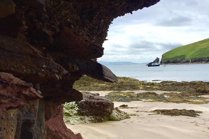 Luxury Photography Day Tour on Dingle Peninsula - Fully Guided and Chauffeured - Mini van access: why smaller vehicles matter on the peninsula