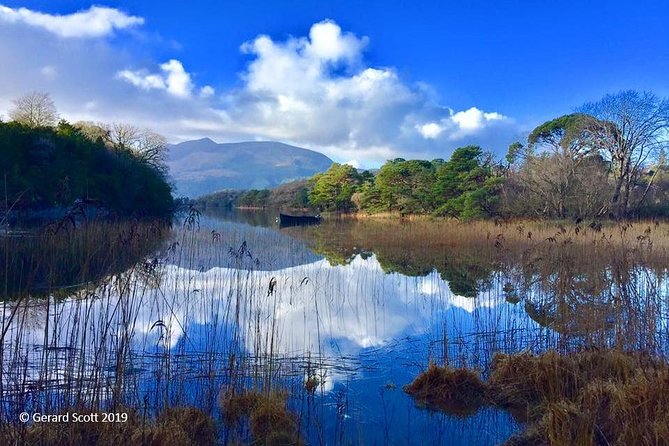 Luxury Photography Day Tour on Dingle Peninsula - Fully Guided and Chauffeured - Who should book this Dingle Peninsula photography tour