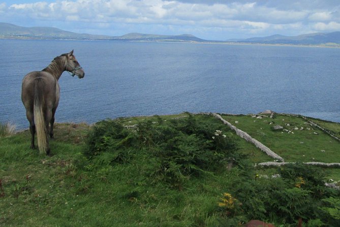 Luxury Photography Day Tour on Ring of Kerry and Skellig Ring - Fully Guided and Chauffeured - Planning for Irish weather without losing your shot list
