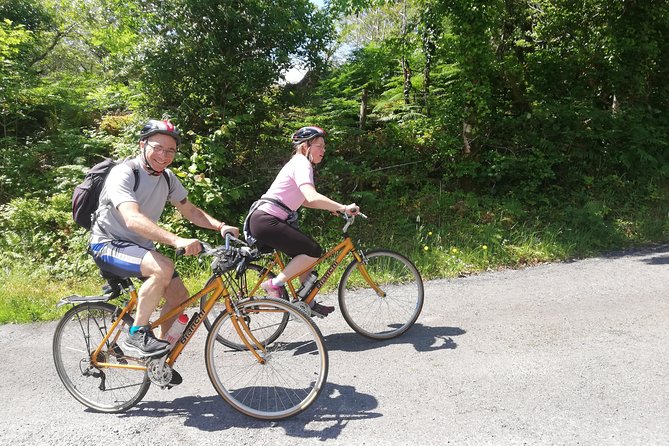 Magical bike tour around Cong - Cong Forest after lunch: the quieter stretch back to Clonbur