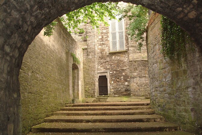 Medieval Dublin Walking Private Guided Tour - Dublin City Council: where the city’s origins get real