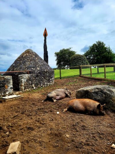 Moate: Dún na Sí Amenity & Heritage Park Admission Ticket