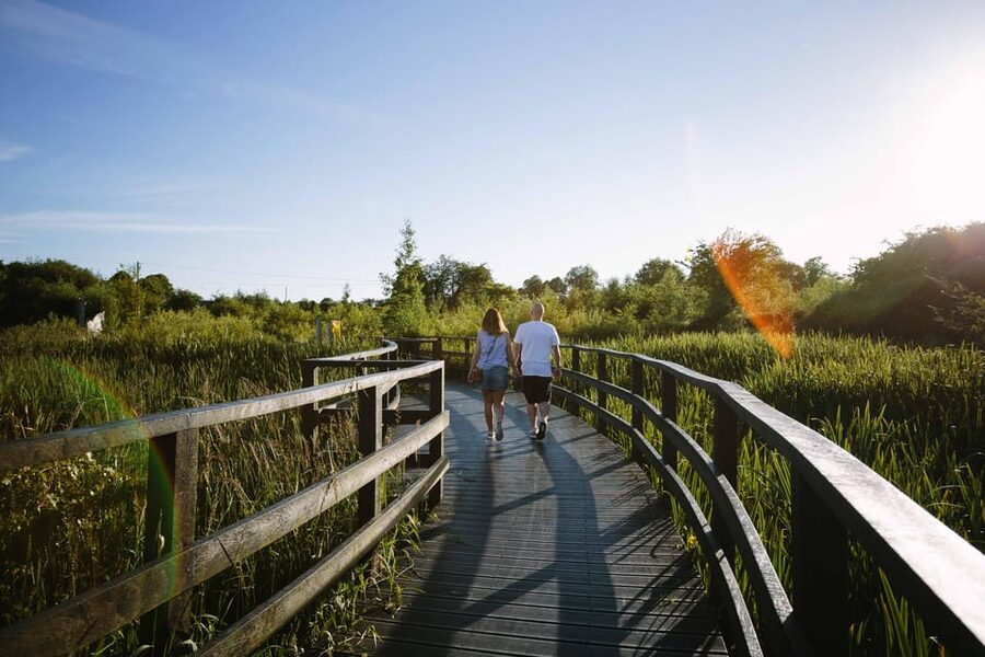 Moate: Dún na Sí Amenity & Heritage Park Admission Ticket - Animals, Fairy Fort Walks, and Outdoor Spaces for Families
