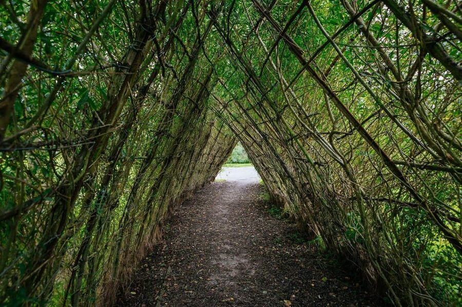 Moate: Dún na Sí Amenity & Heritage Park Admission Ticket - Café, Toilets, Parking, and What to Bring for a Comfortable Day