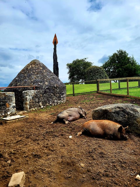 Moate: Dún na Sí Amenity & Heritage Park Admission Ticket - Amenity Park Walk: Sensory Garden, Trails, Bird Hive, and the Turlough