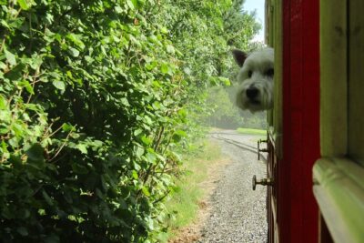 Oakfield Park Day Pass and Train Ride