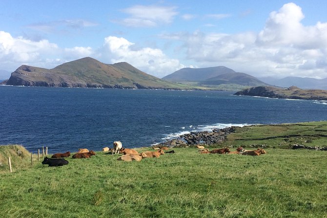 Off the beaten Path Private Tour of Ring of Kerry - Valentia Island by car ferry: the stop that adds a real sense of place