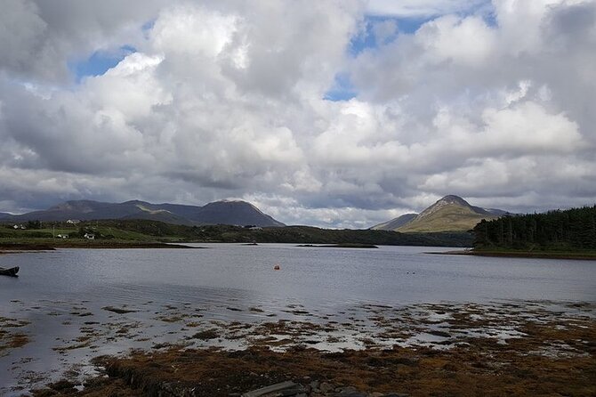 Oyster Farm and Tasting Experience - Key Points You Should Know Before You Go