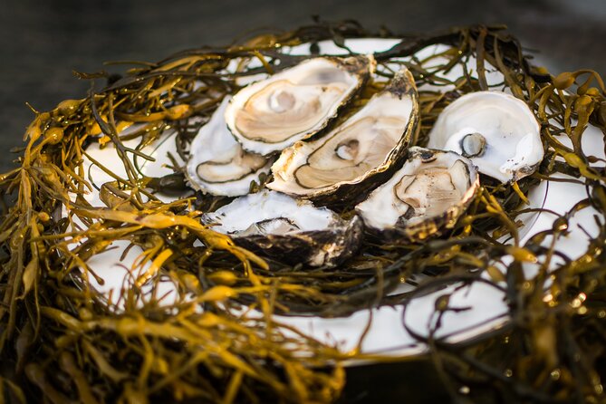 Oyster Farm and Tasting Experience - The Daily Work You’ll Actually See: Grading, Packing, and Bay Tasks