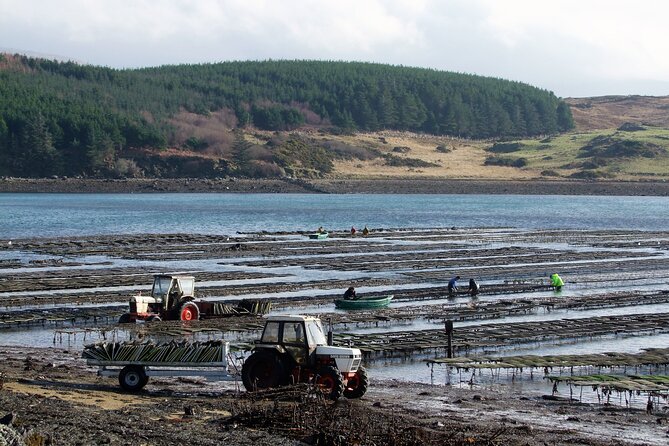 Oyster Farm and Tasting Experience - Weather, Wild Views, and the Clifden Reality Check