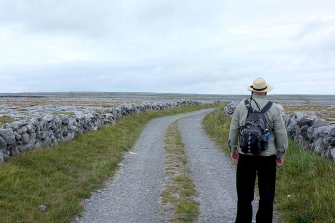 Personal Private Driver - Sheep herding dogs and the surprising cultural side of the coast