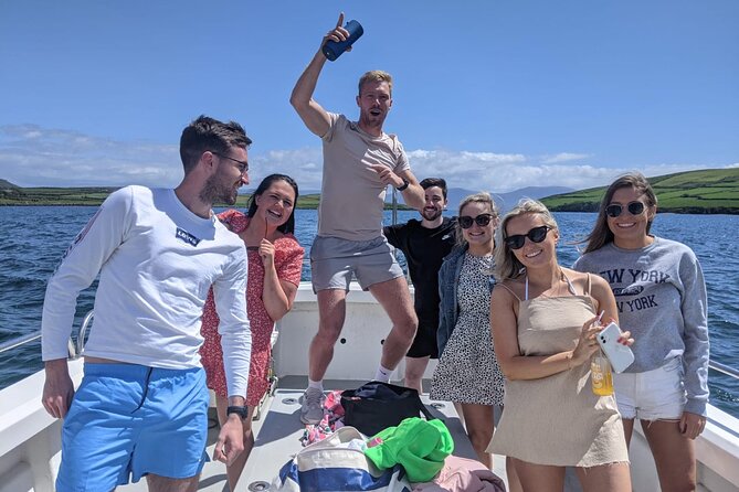 Private 1-Hour Guided Boat Tour in Dingle Peninsula - Private Charter on the Dingle Peninsula: What You Really Get