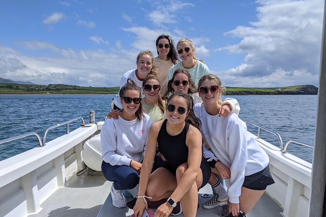 Private 1-Hour Guided Boat Tour in Dingle Peninsula - Comfort, Scenery Viewing, and Photo Opportunities