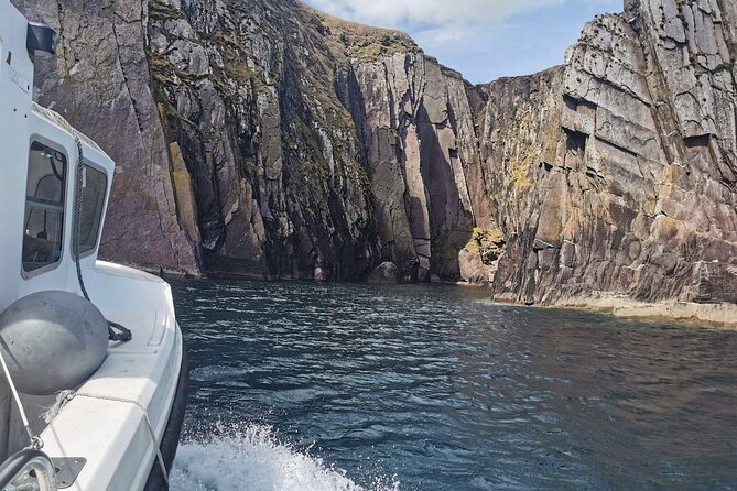 Private 1-Hour Guided Boat Tour in Dingle Peninsula - Weather and Day-of Reality (The Only Thing That Can Upend Plans)
