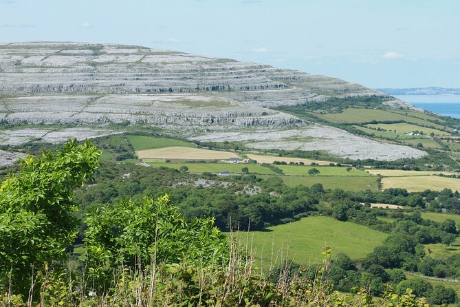 Private Burren and Cliffs of Moher Full Day Tour - Cliffs of Moher: plan for at least an hour, ideally more