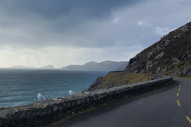 Private Chauffeur Service From Killarney to Shannon Airport - Why Professional Chauffeur Service Pays Off in Real Life