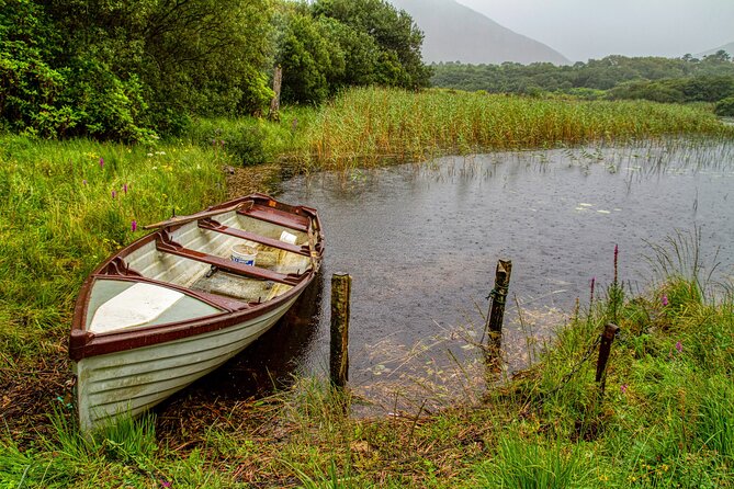 Private Connemara Day Tour - Killary Sheep Farm: a working mountain farm, not a staged show