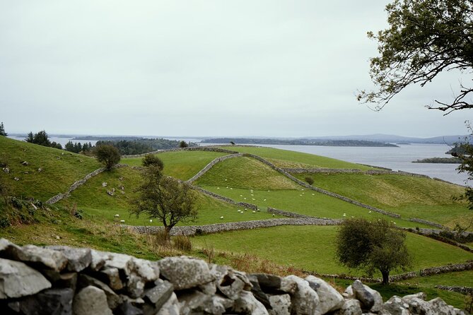 Private Day Tour Cliffs of Moher from Dublin - Key highlights worth getting excited about