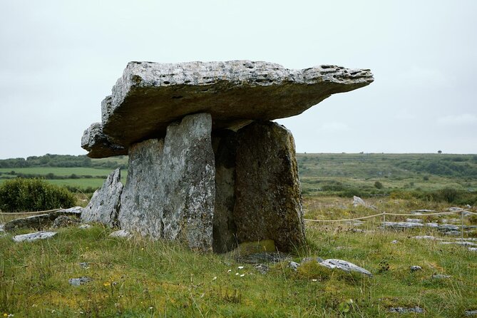 Private Day Tour Cliffs of Moher from Dublin - A private Cliffs of Moher day that fits your pace