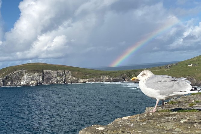 Private Dingle and Slea Head - Price and value for $814.49 per group (up to 6)