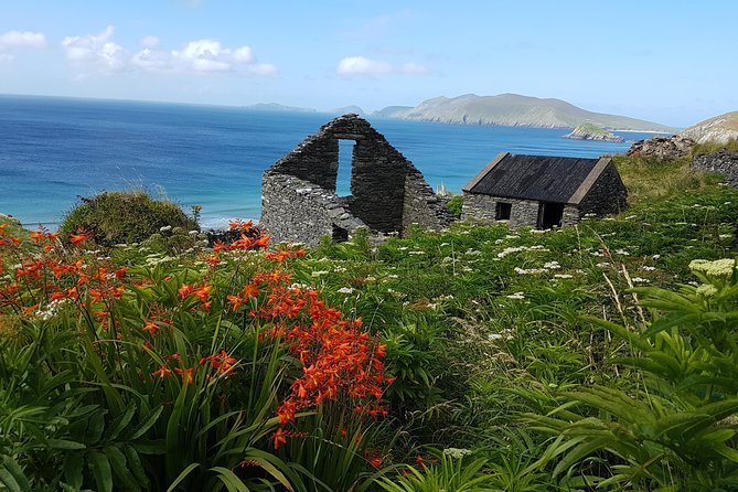 Private Dingle Peninsula Full-Day Tour - Hotel pickup in Dingle Town, then a steady 7-hour rhythm