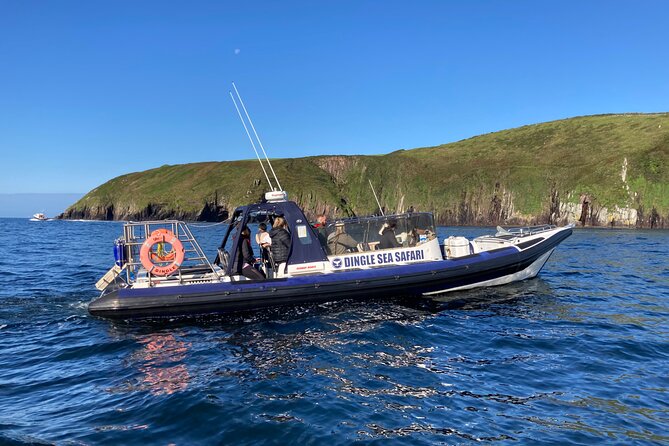 Private family sea safari - Meeting at Dingle Sea Safari and what the 2.5-hour flow feels like
