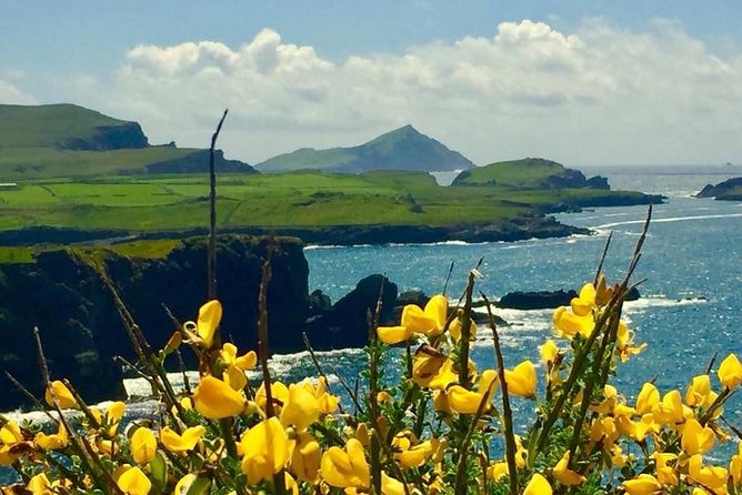 Private Full Day Tour From Killarney - Ring of Kerry/Skellig - Private Ring of Kerry and Skellig day trip, with room to set the pace