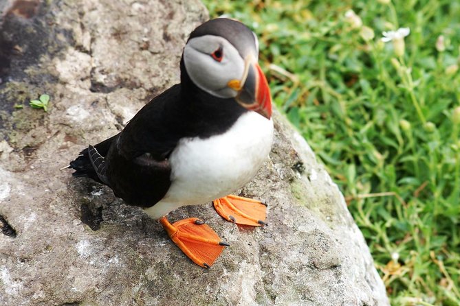 Private Full Day Tour From Killarney - Ring of Kerry/Skellig - Timing, duration, and what 7 hours really means