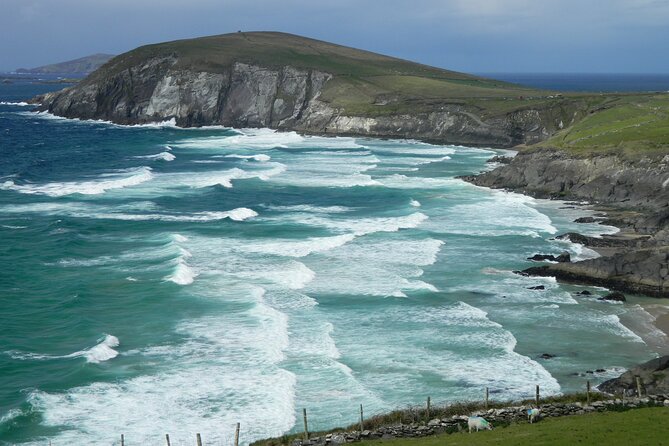 Private Full-Day Tour to Dingle and Slea Head - Blennerville Windmill: A Quick Photo Stop With Big Scale