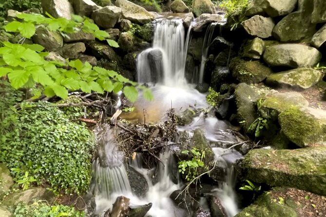 Private Garden of Ireland Wicklow Tour from Dublin - Key highlights worth planning around