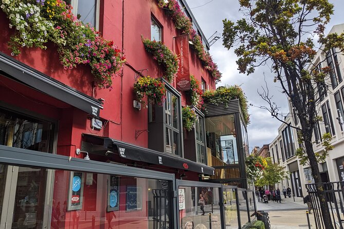 Private Guided Tour of Dublin in French - Merrion Square and Georgian Dublin: parliament, National Gallery, and Dublin writers