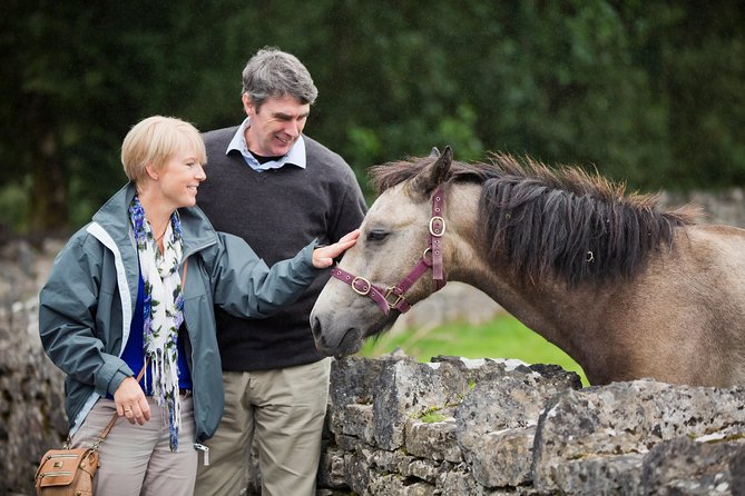 Private Half Day Tour To Connemara - A Half-Day Connemara Route From Galway, in Your Own Vehicle