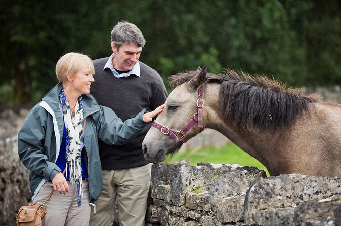 Private Half Day Tour To Connemara - Should You Book a Private Half-Day to Connemara?
