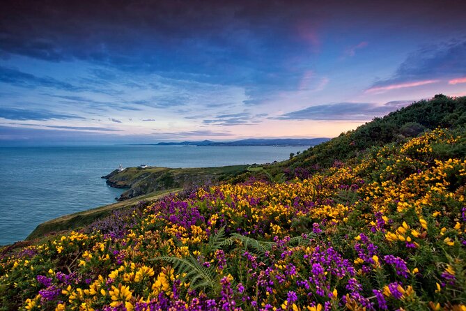 Private Howth Coastal Walk - Lambay Island: wallabies and the geology angle