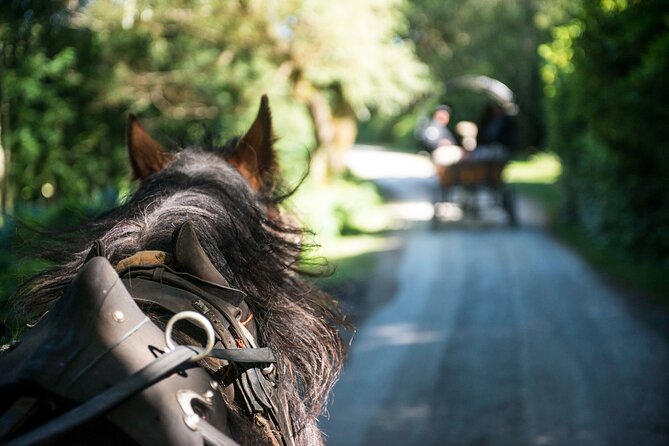 Private Jaunting Tour and Afternoon Tea in Killarney - Lakes of Killarney jaunt: where the ride starts to feel cinematic