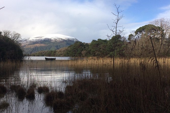 Private Killarney Tour - Torc Waterfall: a 17-meter stop that feels worth it