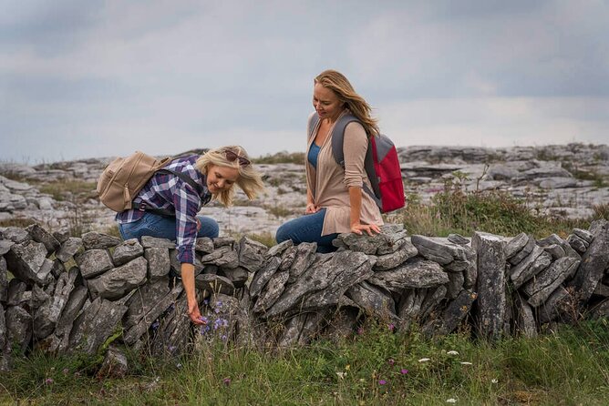 Private Limousine hire Cliffs of Moher Day Tour - Doolin lunch break: plan for your meal expenses