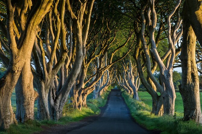 Private Northern Ireland Day Tour from Dublin - Pickup timing from Dublin Airport, and why an early start is worth it