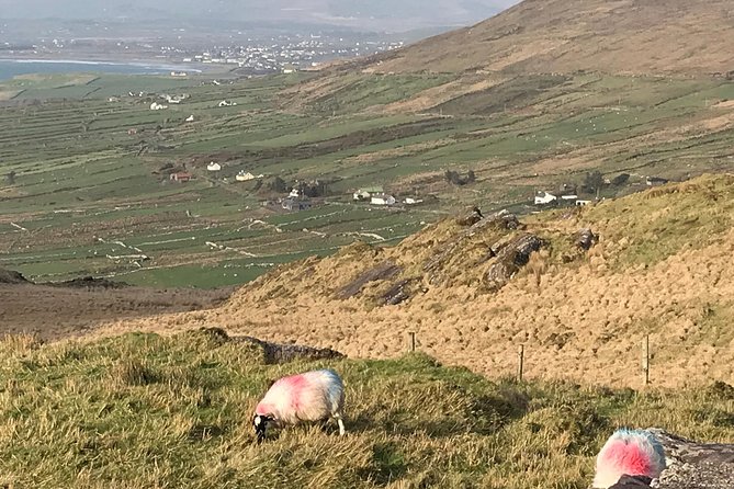 Private Ring of Kerry luxury tour with accredited guide - Stop 1: Cahergall Fort, where the day gets its story fast
