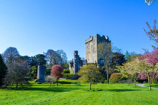 Private Tour: Classic Cork Tour visiting Blarney Castle & Kinsale - Key Highlights You’ll Care About