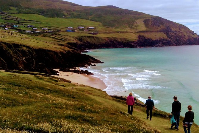 Private Tour: Dingle Peninsula from Dingle - Why This Private Dingle Peninsula Tour Feels Easier Than DIY