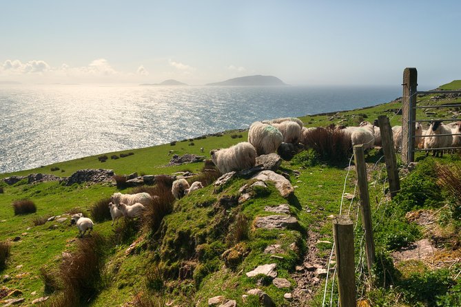 Private Tour: Dingle Peninsula from Kerry. Waterville, Tralee etc - Stop-by-stop: Dingle Crystal, Fahan beehive huts, and Slea Head