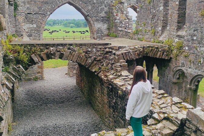 Private Tour from Dublin: Hill of Tara Trim Castle, Celtic sites - Price Per Group: When This 7 to 8 Hour Tour Feels Worth It
