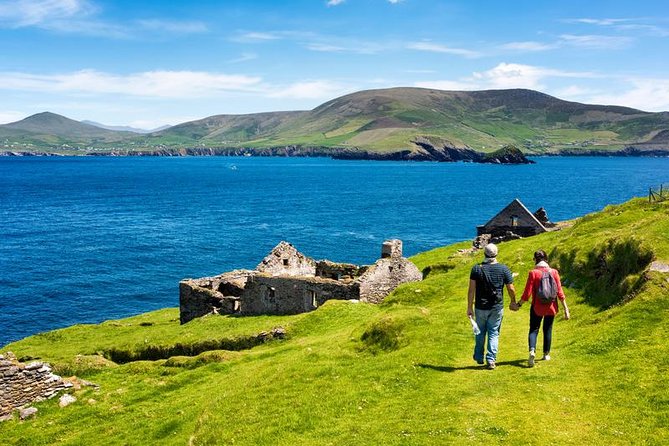 Private tour of Dingle and Slea Head with accredited guide - Private Dingle and Slea Head: the day that feels built around you