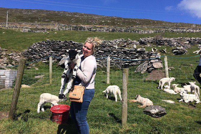 Private tour of Dingle and Slea Head with accredited guide - The Blasket Centre stop: where the day gets meaning